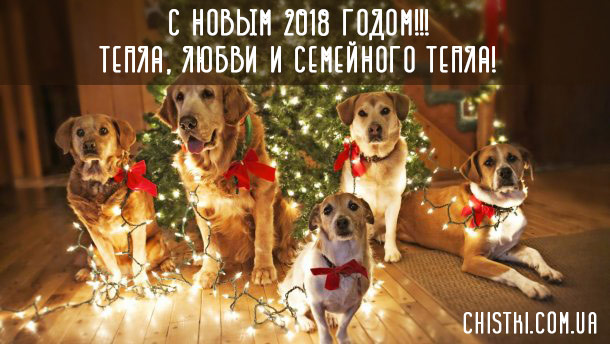 С Новым 2018 годом собаки!